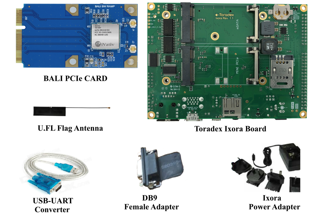 iVativ BALI PCIe DVK