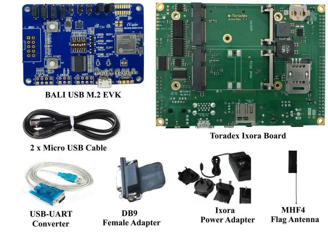 iVativ BALI M.2 USB DVK