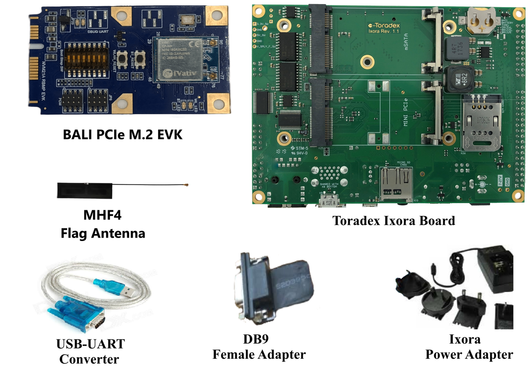 iVativ BALI M.2 PCIe DVK
